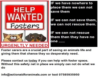 fosters wanted